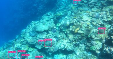 Yolo5 на примере задачи Help Protect the Great Barrier Reef