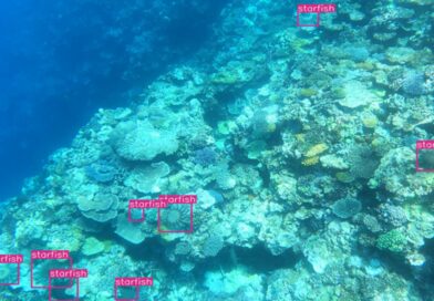 Yolo5 на примере задачи Help Protect the Great Barrier Reef